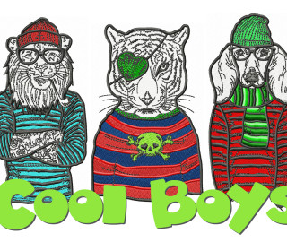 Stick Datei - Cool Boys